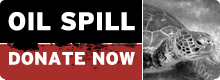 Oil spill - donate now