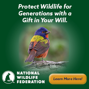 Subcribe to National Wildlife Magazine