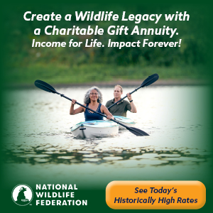 Subcribe to National Wildlife Magazine