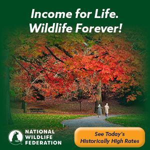 Subcribe to National Wildlife Magazine
