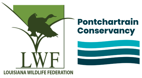 Louisiana Wildlife Federation & Pontchartrain Conservancy
