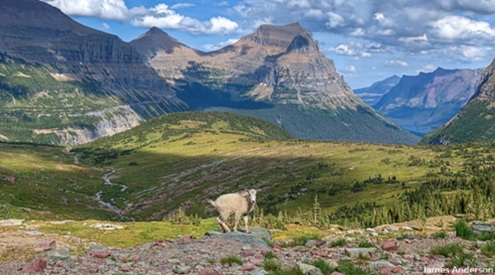 Glacier National Park, James Anderson