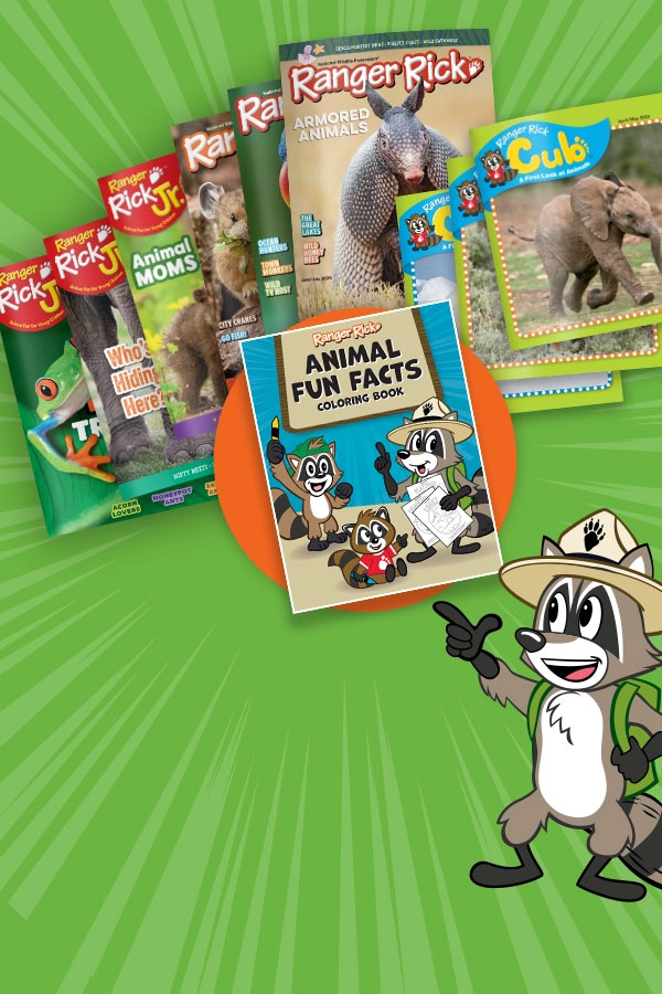 Ranger Rick, Ranger Rick Jr., and Ranger Rick Cub magazines with Animal Fun Facts Coloring Book