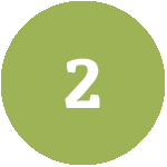 moss green circle with number 2