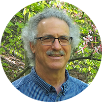 Headshot of Dr. Bruce Stein