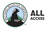All Access Logo