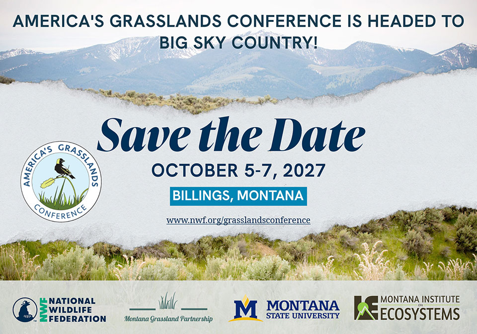America's Grasslands Conference is headed to Big Sky Country! Save the Date: October 5-7, 2027; Billings, MT