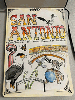 San Antonio Confluence of Young Conservation Leaders artwork