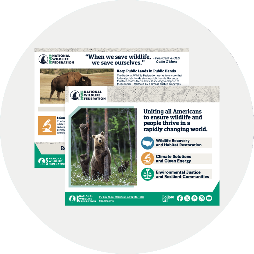 National Wildlife Federation printed materials