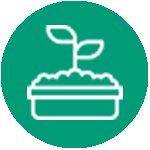 Seedling planted in container icon in fern green circle