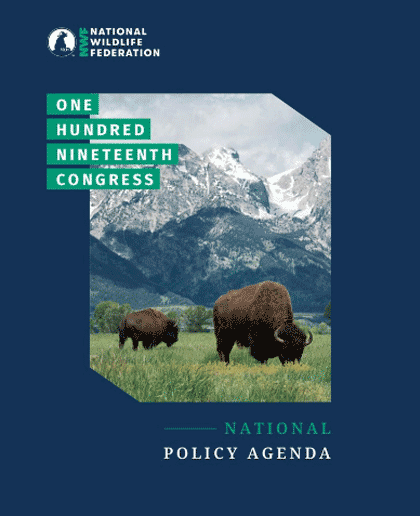 119th Congress National Policy Agenda Cover
