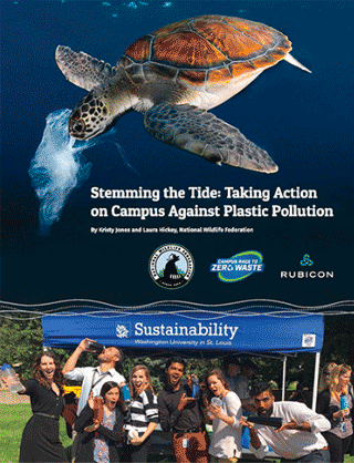 Stemming the Tide report cover