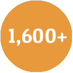 Sunflower gold circle with the number 1,600+