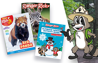 Ranger Rick Jr. and Ranger Rick magazine covers with Ranger Rick activity guide and Ranger Rick walking through forest