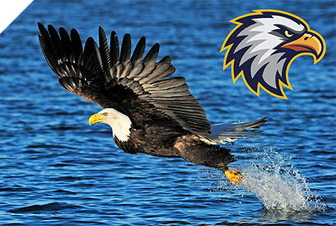 Eagle flying over water with eagle's head school mascot image
