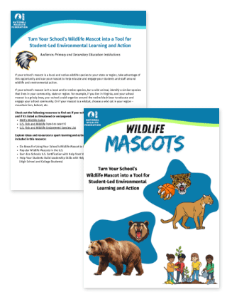 Wildlife Mascots Guide