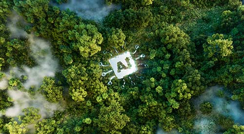 Aerial view of forest with AI overlayed in the middle