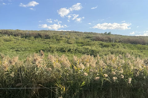 Paxton landfill supersite