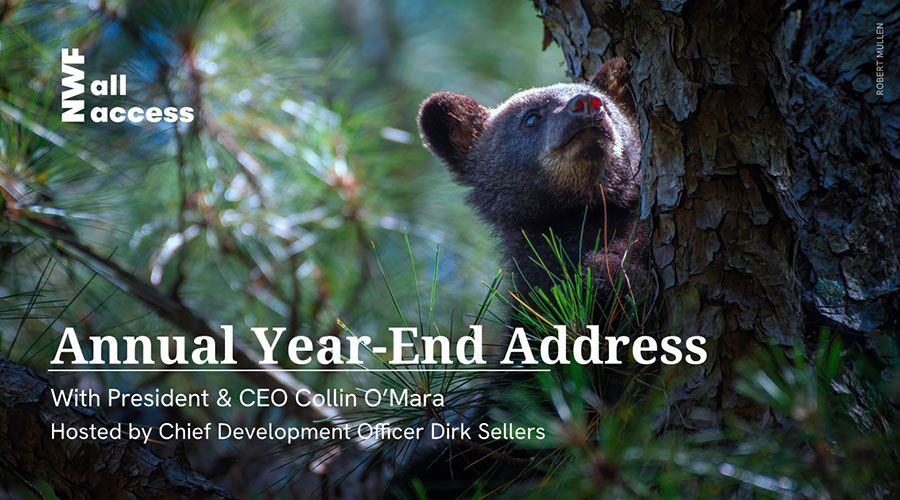 Annual Year-End Address with President & CEO Collin O'Mara