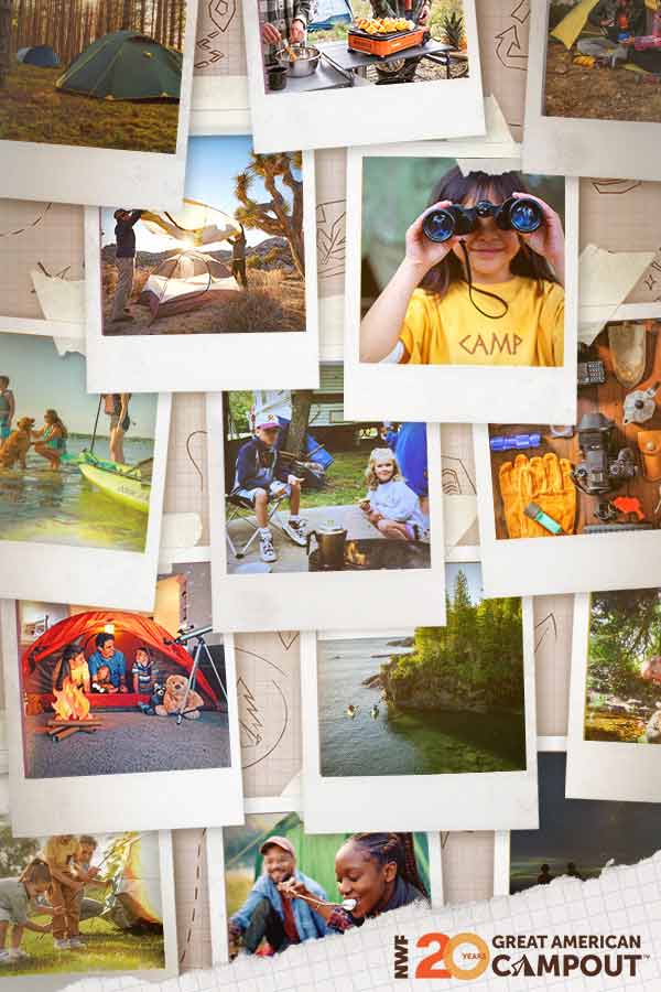 collage of camping photo polaroids 