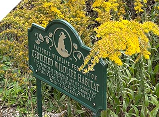 Certified Wildlife Habitat lawn plaque sign with goldenrod around it