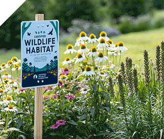 Certified Wildlife Habitat Classic Sign mounted on post in garden