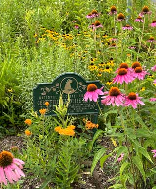 Certified Wildlife Habitat sign surrounded by flowers