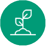 Small leafy plant growing from mound of dirt icon
