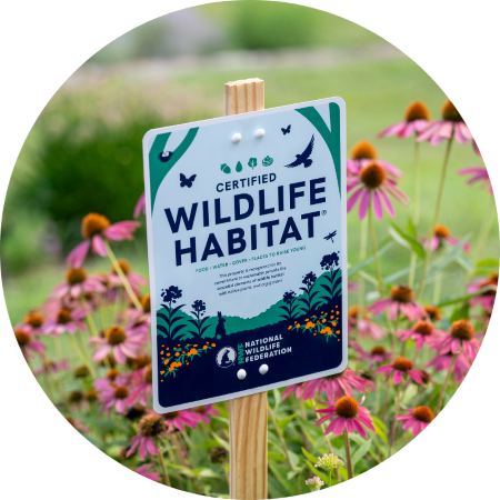 Certified Wildlife Habitat sign surrounded by flowers