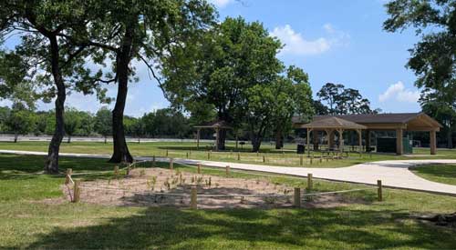 Channelview High School students and community members worked together to install a pocket prairie at the local sports complex. Credit: Kate Unger