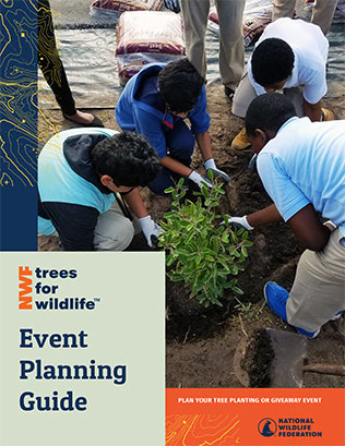 Cover of Trees for Wildlife Event Planning Guide