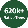 620k+ Native Trees