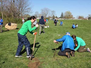 Volunteers planting trees