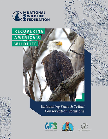 Recovering America's Wildlife: Unleashing State and Tribal Conservation Solutions report cover