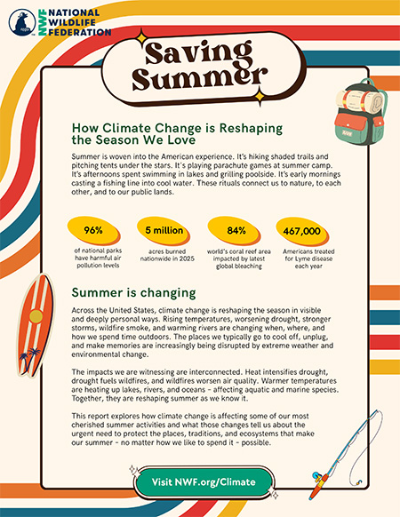 Saving Summer: How Climate Change is Reshaping the Season We Love