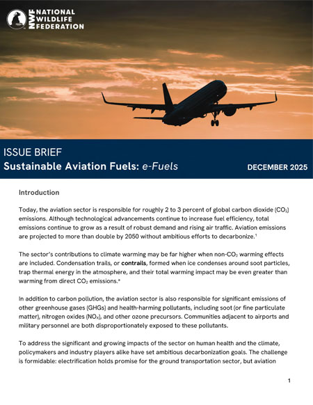 Sustainable Aviation Fuels Issue Brief