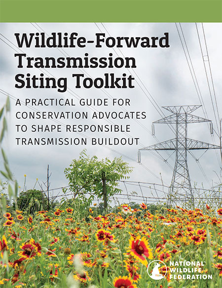 Wildlife-Forward Transmission Siting Toolkit Cover
