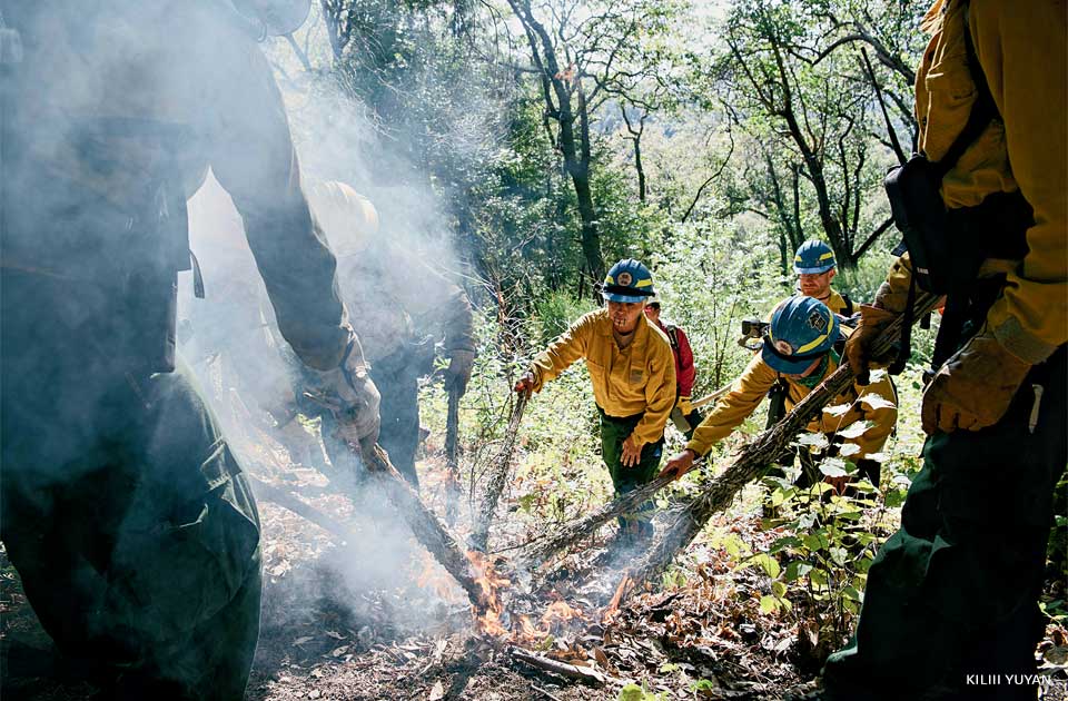 An image of Margo Robbins leading firefighters as they light an Indigenous prescribed burn.