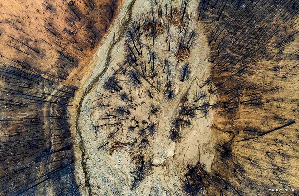 An image of Vesa Creek after a rain on burn scar event following a severe fire.