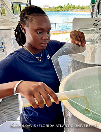 An image of Lachelle Russell feeding the queen conch veligers with microalgae.