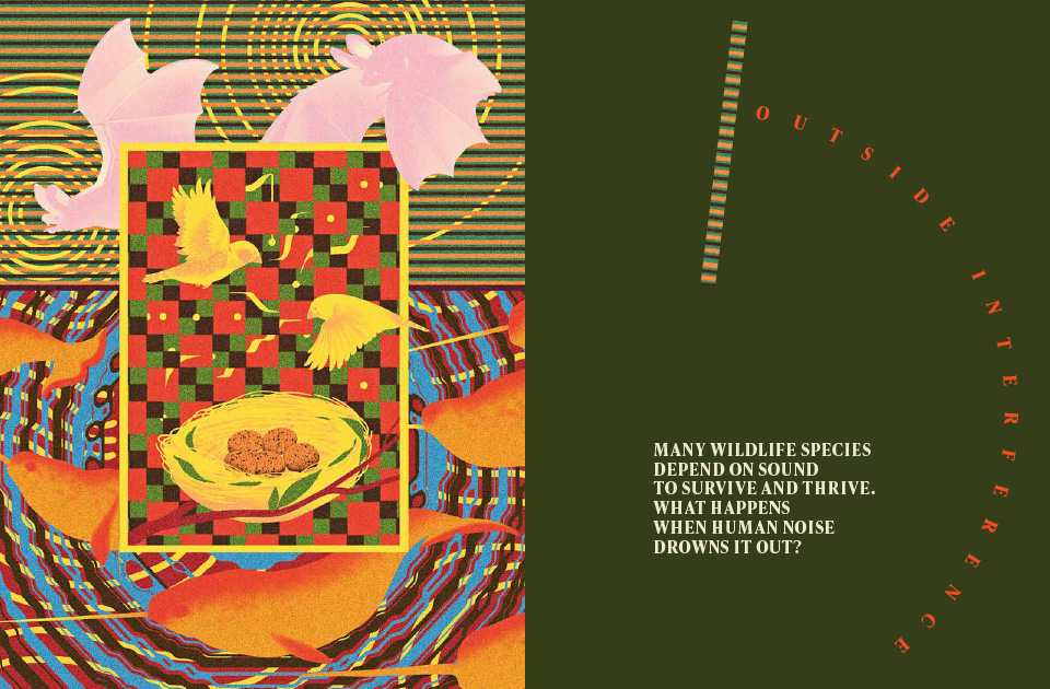 A magazine spread containing text and an illustration with birds and a nest.
