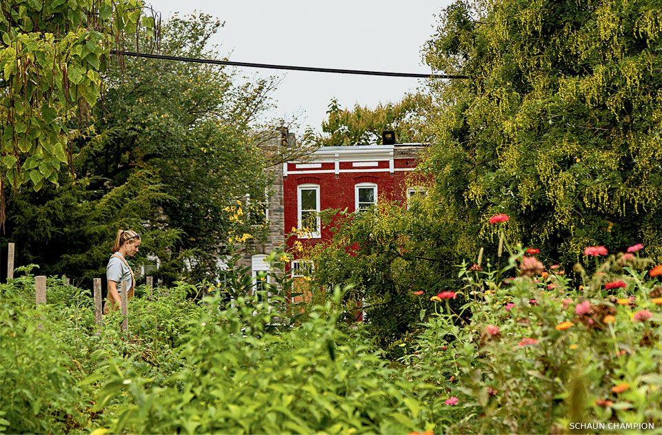 An image of Grace Champion at Johnston Square Farm.