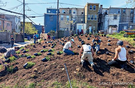 An image of people installing a pollinator garden.
