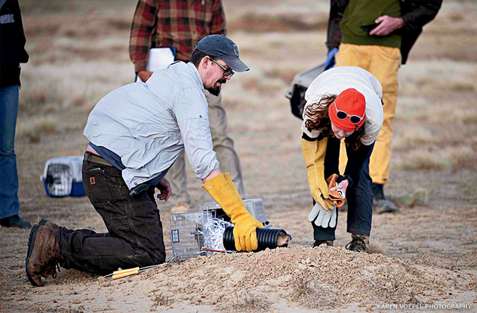 An image of Nathan Alexander working in the field.