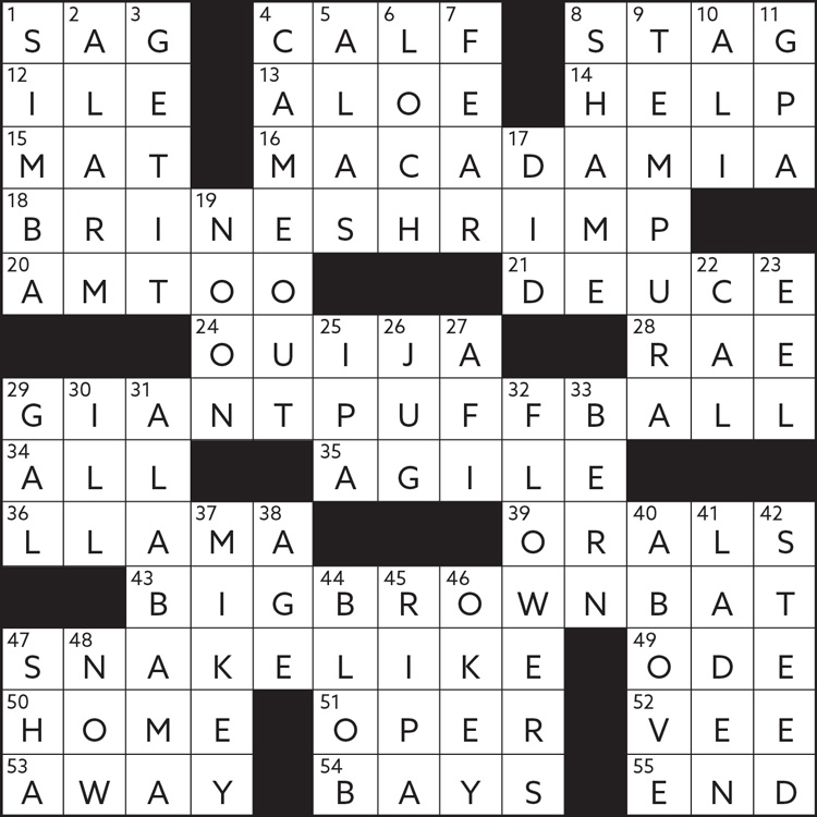 A graphic of a crossword with answers.