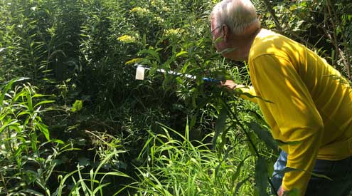 A man takes a water sample from a creek with foliage surrounding him