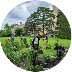 People working together to plant a garden