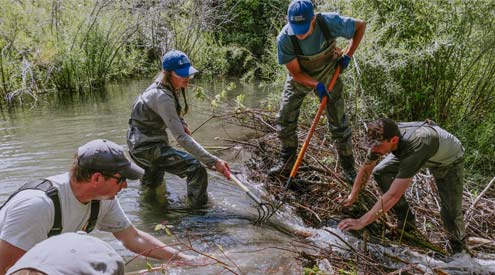 NWF Beaver Conflict Resolution team working with Montana Fish, Wildlife and Parks staff to install a pond leveler