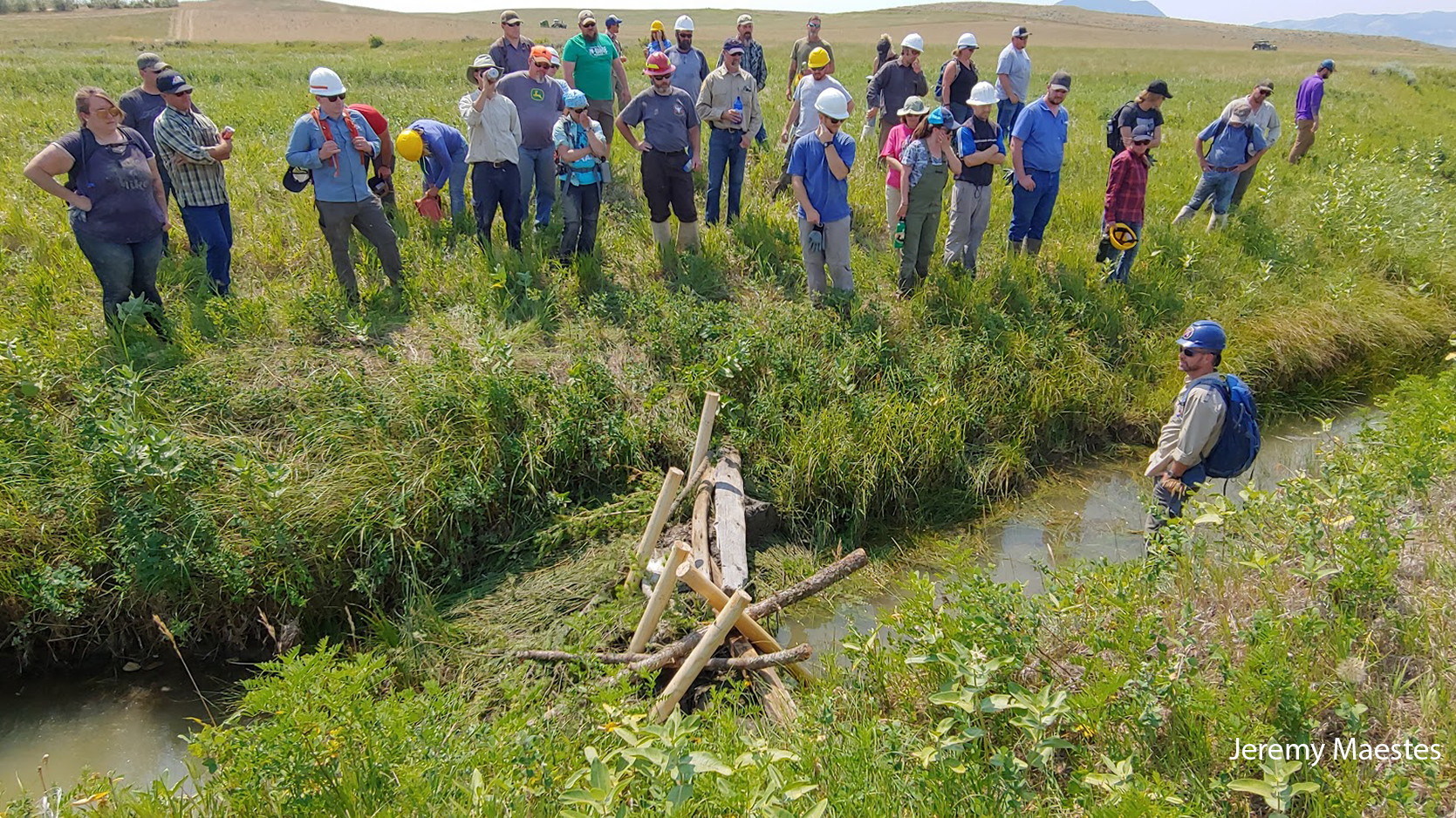 Riverscape Restoration Project
