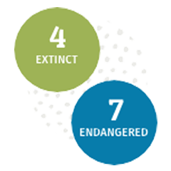 4 extinct and 7 endangered